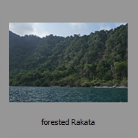 forested Rakata